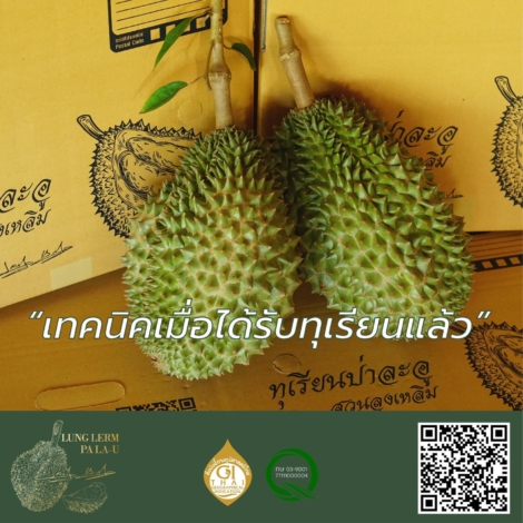 เทคนิคเมื่อได้รับทุเรียน